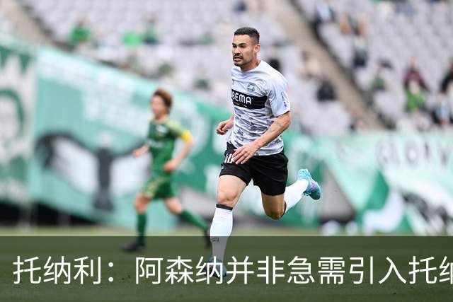 托纳利：阿森纳并非急需引入托纳利，不应花1亿英镑买他